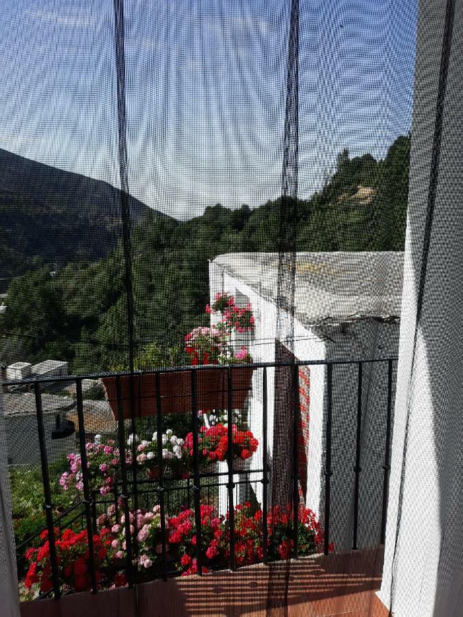 Refugio Alpujarra Alta Bed & Breakfast Trevelez Exterior photo